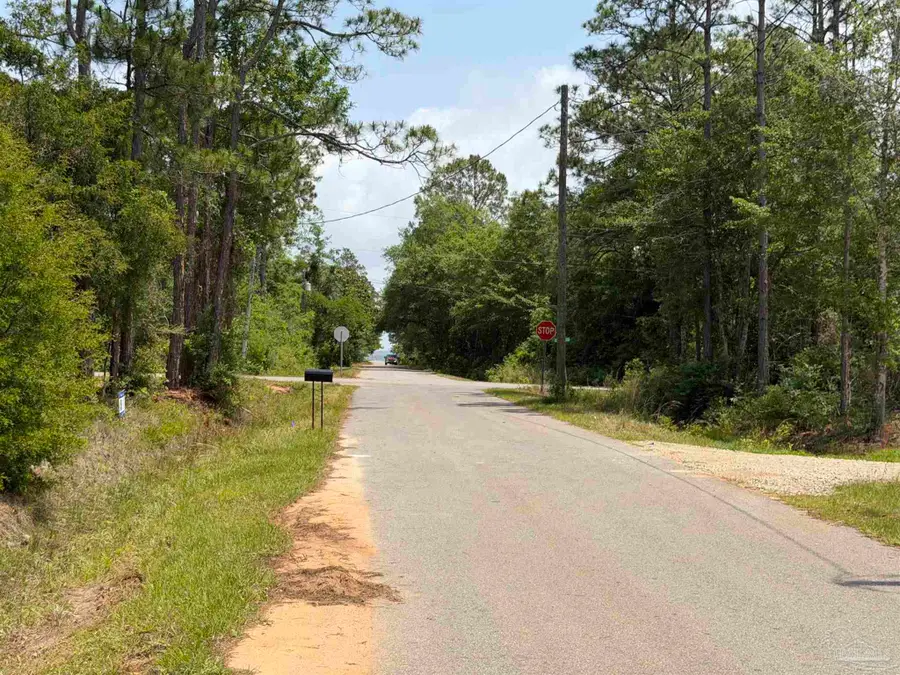 Michigan Ave, Bagdad, FL 32583 - #3