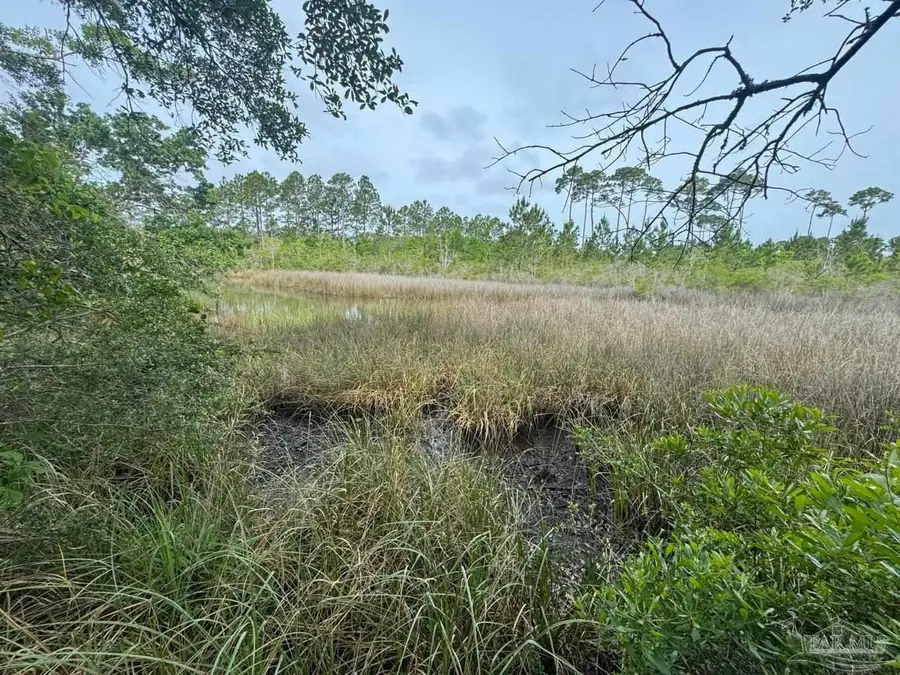 5816 Shady Bayou Ln, Milton, FL 32583 - #3