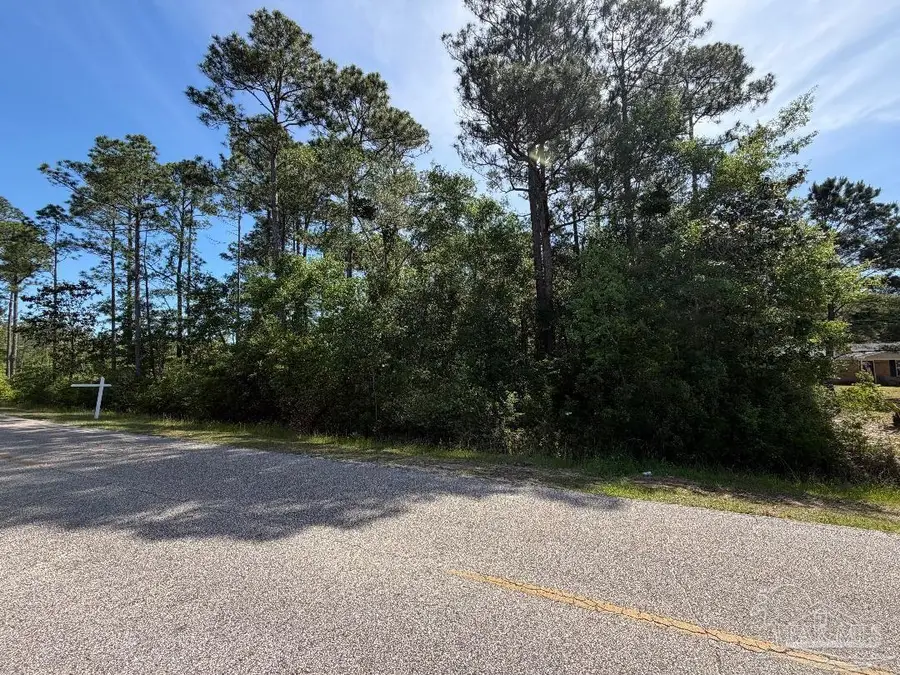 Robinson Point Rd, Bagdad, FL 32583 - #2