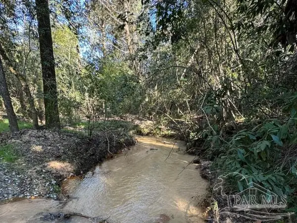 85+/- acres Wiley Scott Rd, Jay, FL 32565