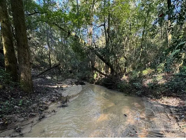 85+/- acres Wiley Scott Rd, Jay, FL 32565 - #2