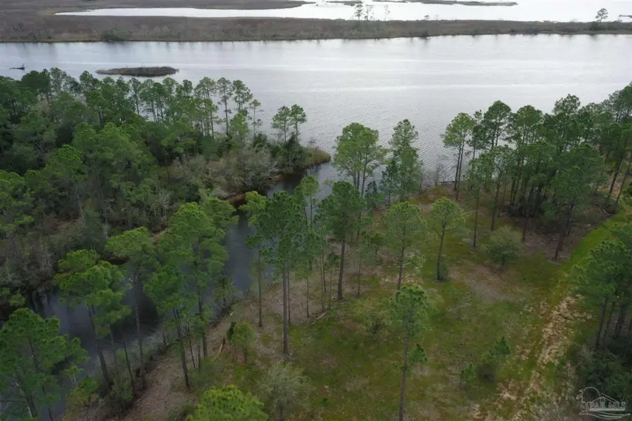 7999 Virginia Ln, Milton, FL 32583 - #3