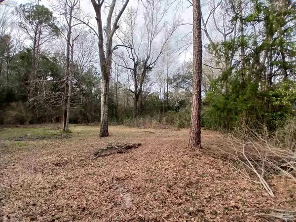 930 Brookhills Dr, Cantonment, FL 32533