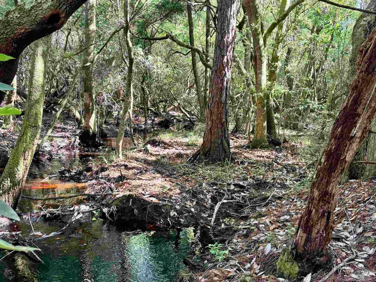 4753 Henry Wilson Creek Dri, Milton, FL 32583 - #1