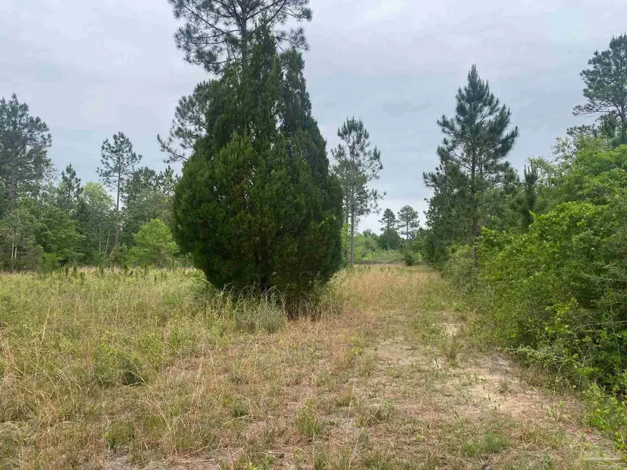 01 Walther Rd, Milton, FL 32570 - #3