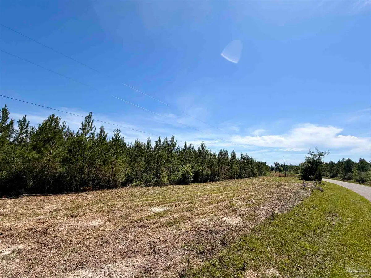 0000 Mineral Springs Rd, Jay, FL 32565 - #1