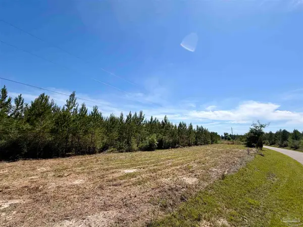 0000 Mineral Springs Rd, Jay, FL 32565