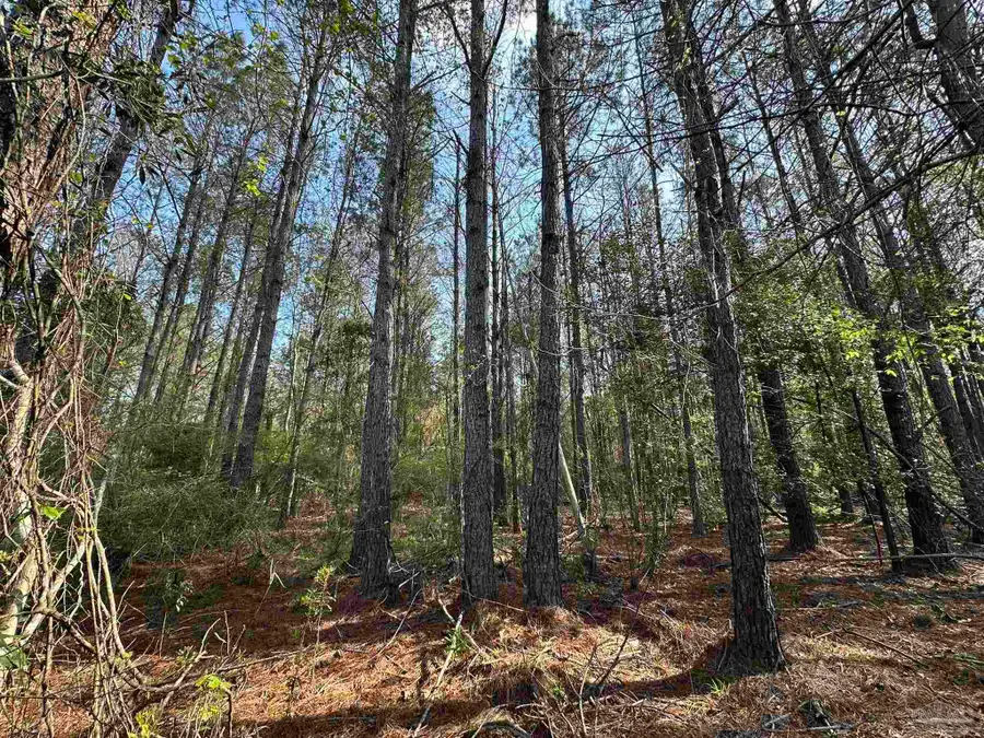 Lot E Snider Rd, Frisco City, AL 36445 - #2