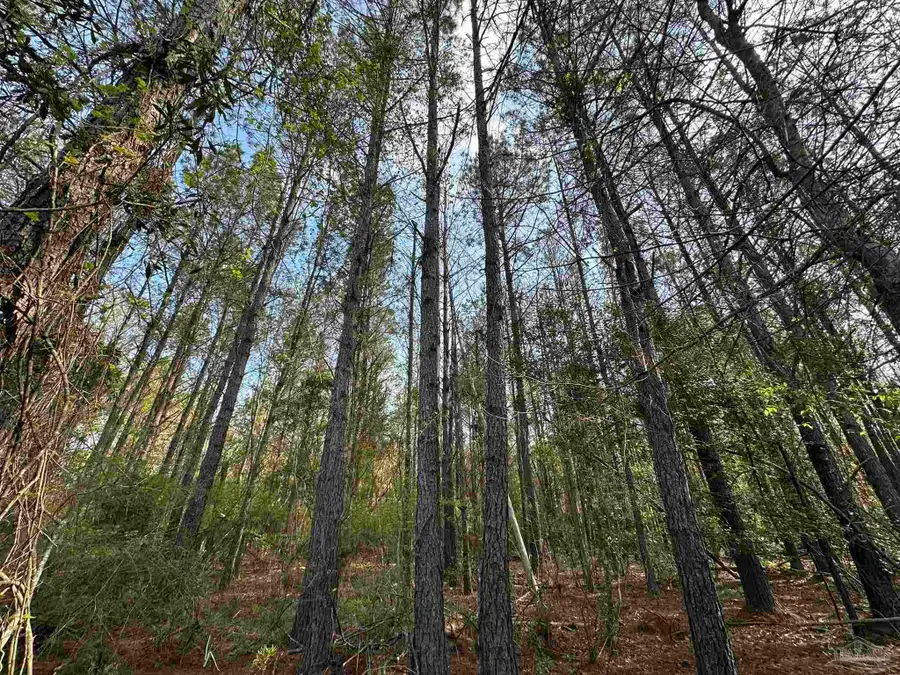 Lot E Snider Rd, Frisco City, AL 36445 - #3