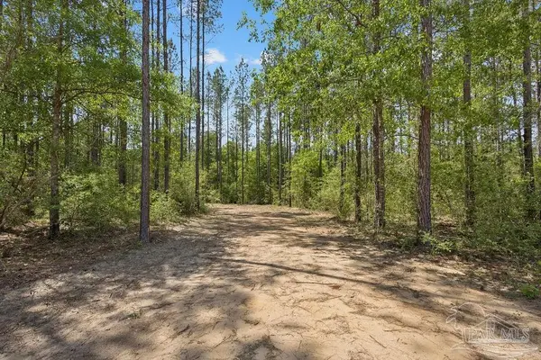 11.42 Acres Edge Forest Way, Pace, FL 32571
