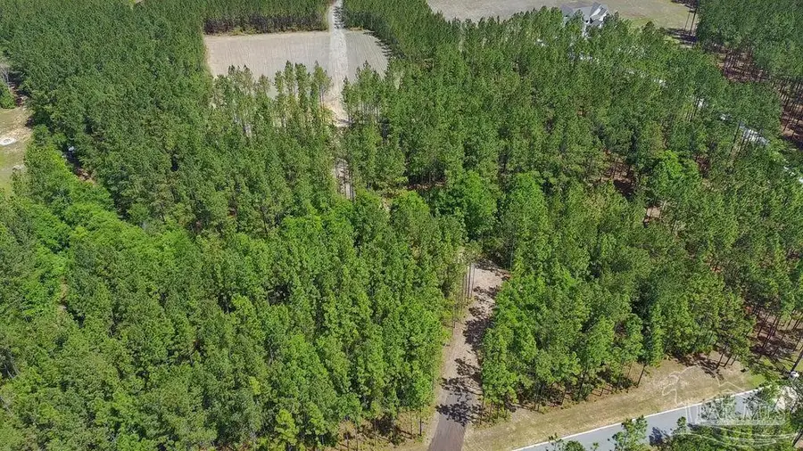 11.42 Acres Edge Forest Way, Pace, FL 32571 - #2