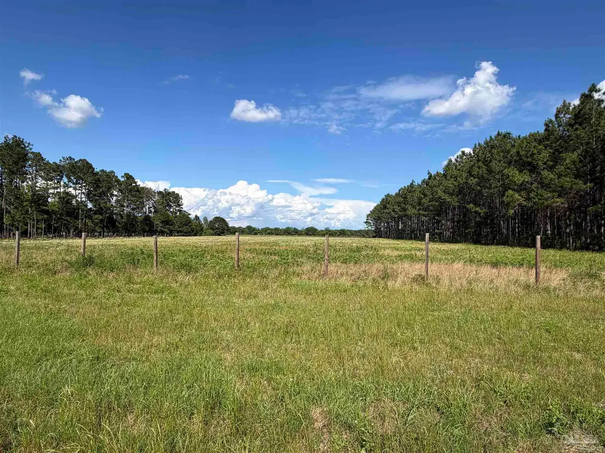 4400 BLK N Hwy 99, Walnut Hill, FL 32568 - #1
