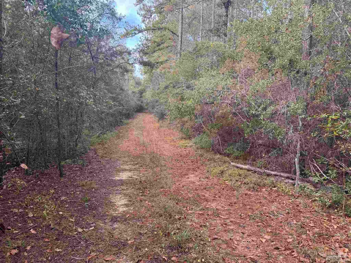0 Ryan Rd, Crestview, FL 32539 - #1