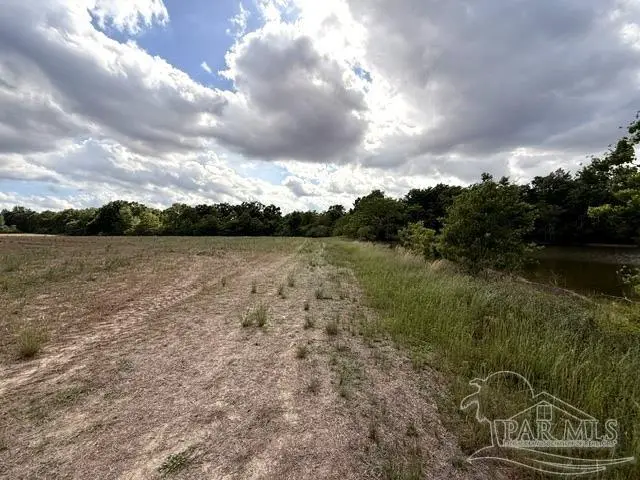 Lot 2 & 3 Tungoil Rd, Walnut Hill, FL 32568 - #2