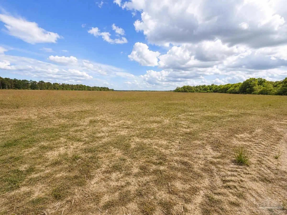 Lot 1 Tungoil Rd, Walnut Hill, FL 32568 - #1