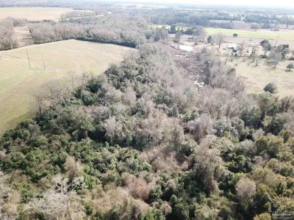 Lot 1 Hwy 4, Jay, FL 32565