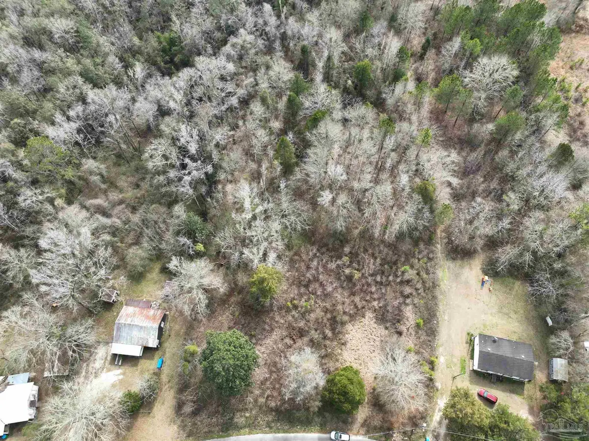 1041 Freedom Rd, Century, FL 32535 - #1