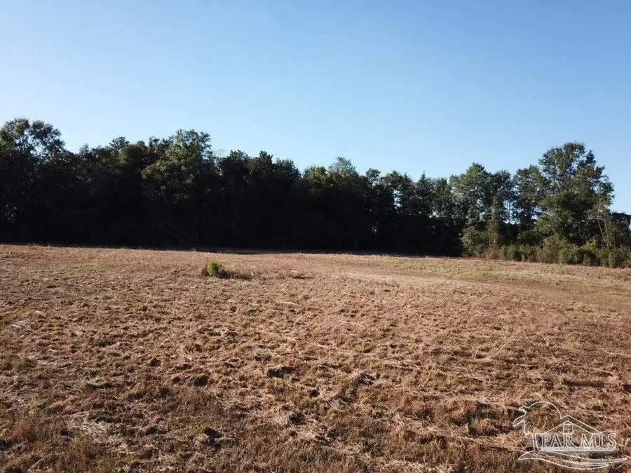 5 acres Ard Field Rd, Jay, FL 32565 - #3