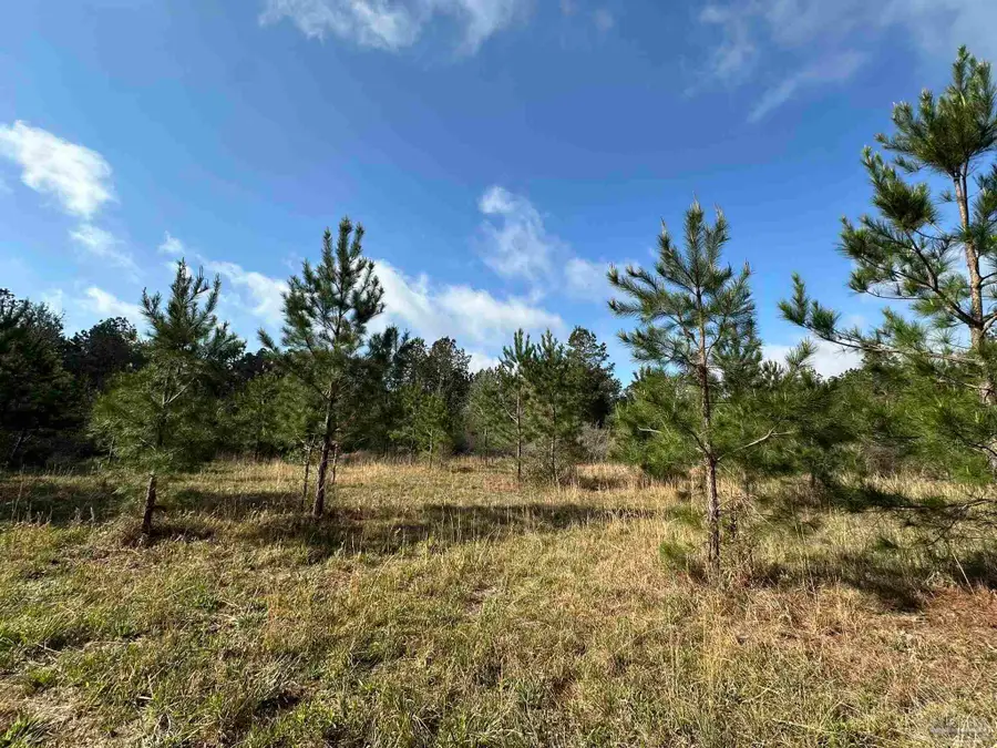 15 AC Snider Rd, Frisco City, AL 36445 - #2