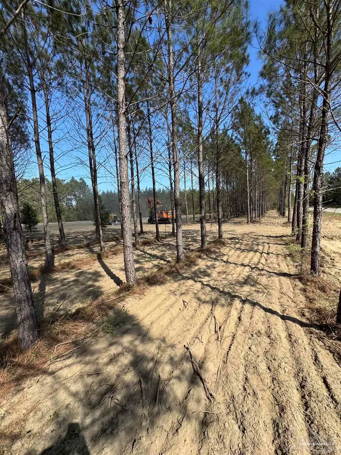 Lot 53 Sage Forest Ln, Pace, FL 32571 - #1