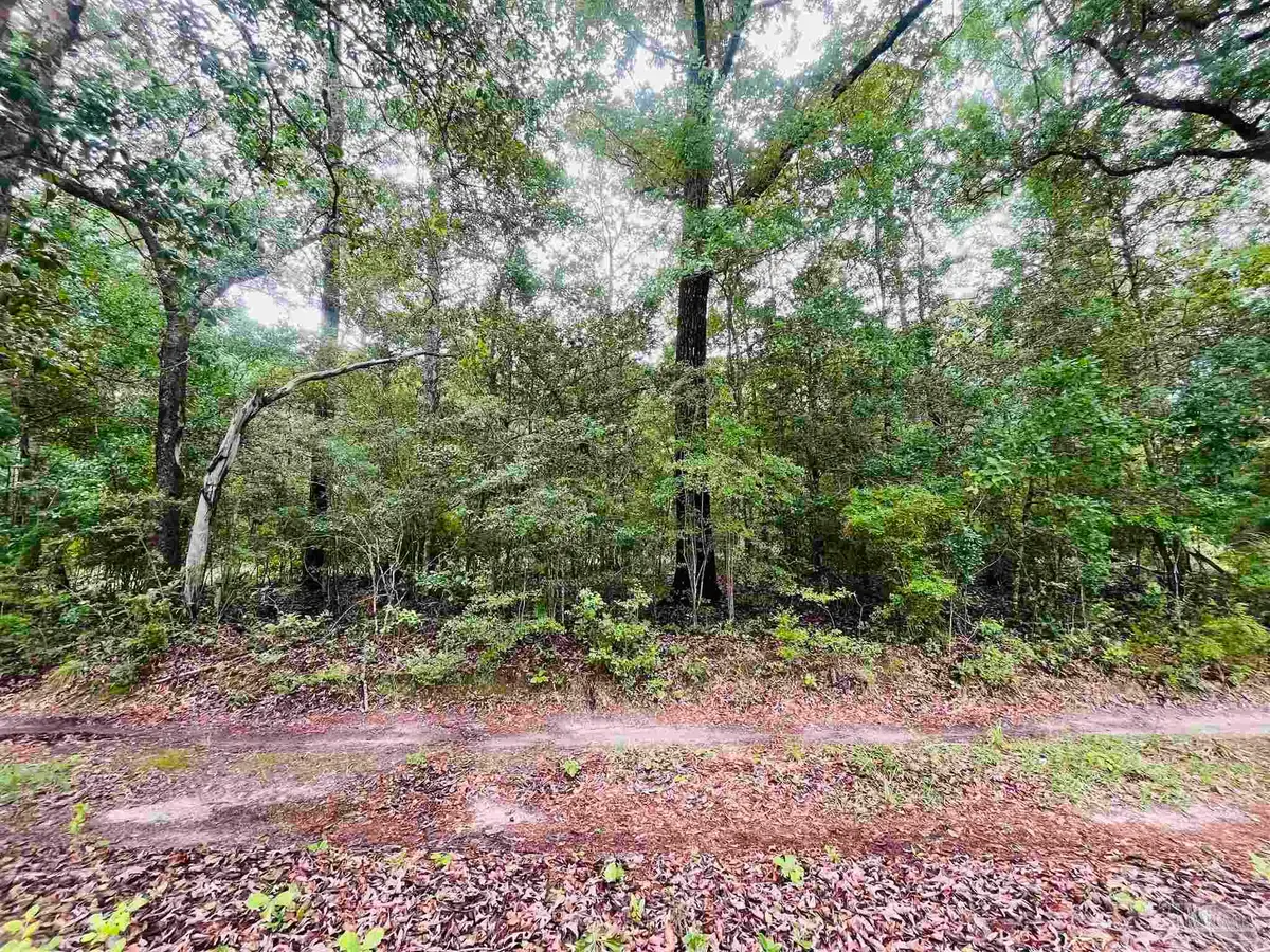 1234 Hutto Parker Rd, Holt, FL 32564 - #1