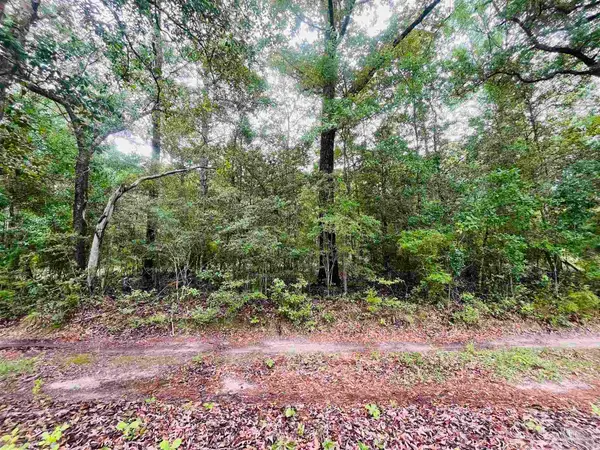 1234 Hutto Parker Rd, Milton, FL 32564