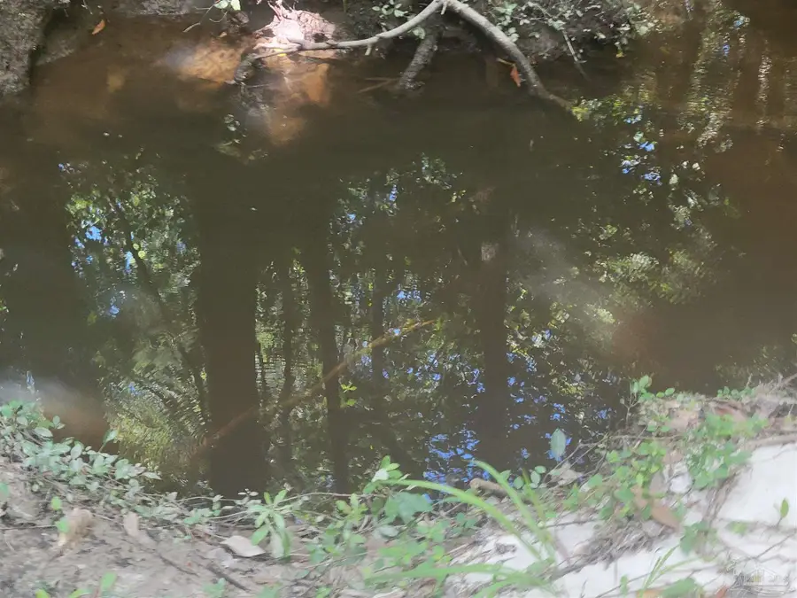 8223 N Highway 189, Baker, FL 32531 - #3