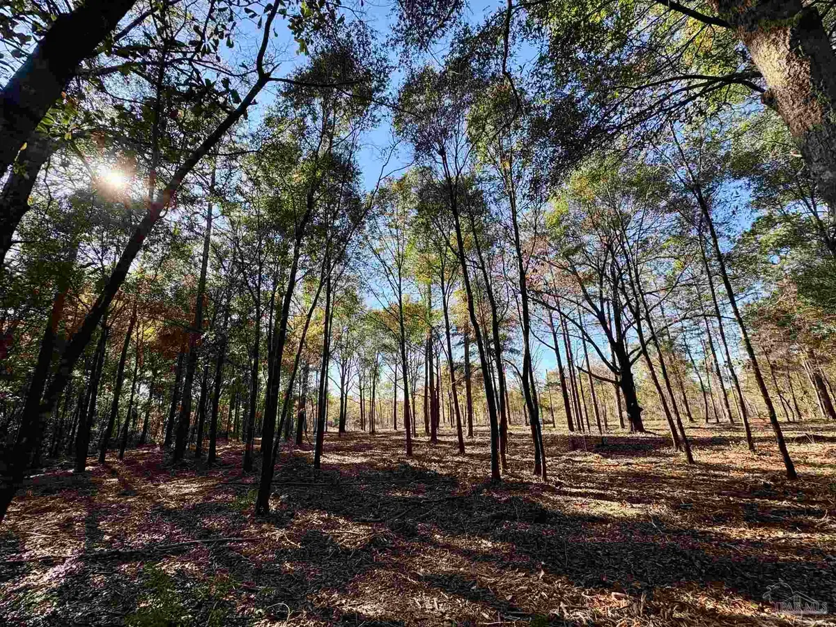 Adams Rd, Crestview, FL 32536 - #1