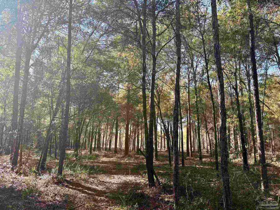 Adams Rd, Crestview, FL 32536 - #2