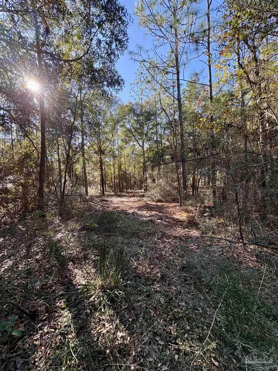 Adams Rd, Crestview, FL 32536 - #3