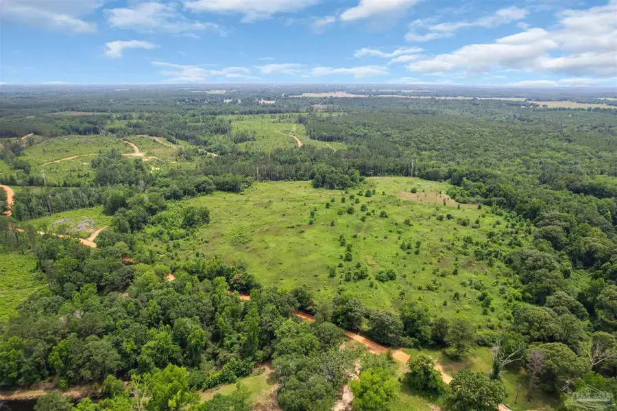 0 Barton Rd, Monroeville, AL 36460 - #2