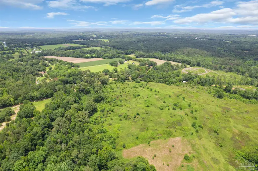 0 Barton Rd, Monroeville, AL 36460 - #3