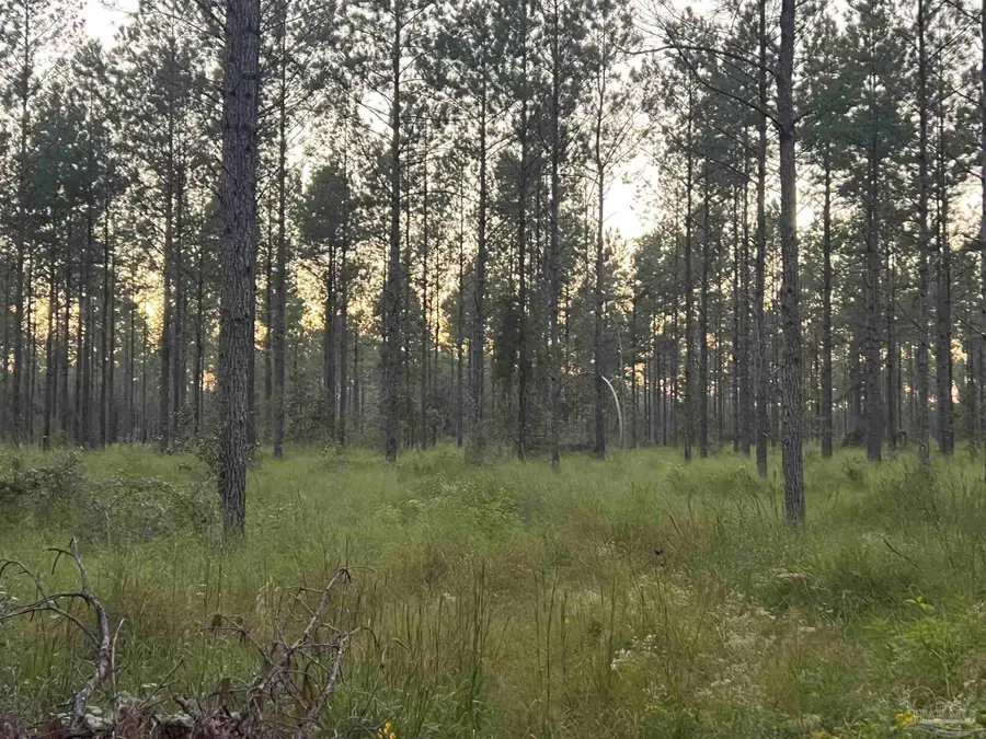 Lot 7 Wallace Lake Rd, Pace, FL 32571 - #2