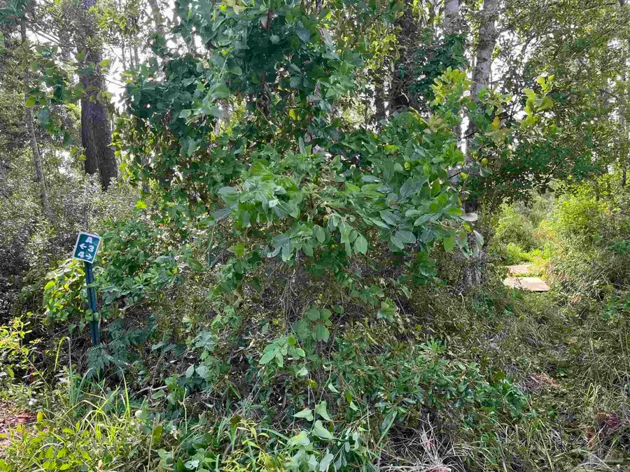 1200 Cuddle Doon Ave, Milton, FL 32583 - #2
