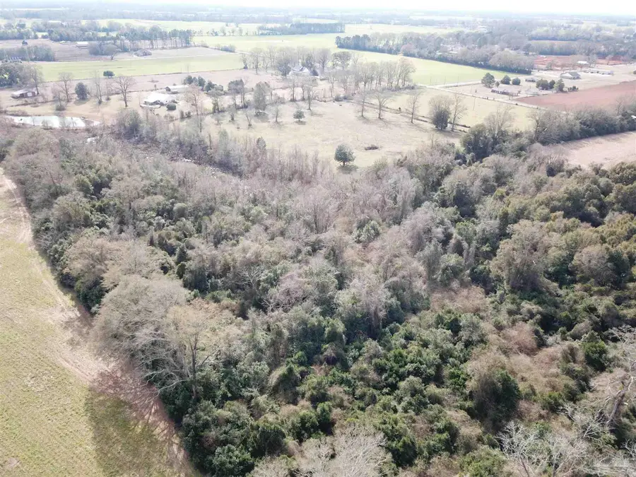 Lot 4 Beck Ave, Jay, FL 32565 - #2