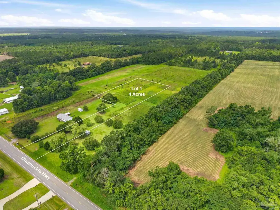 Lot 1 Chumuckla Hwy, Pace, FL 32571 - #2