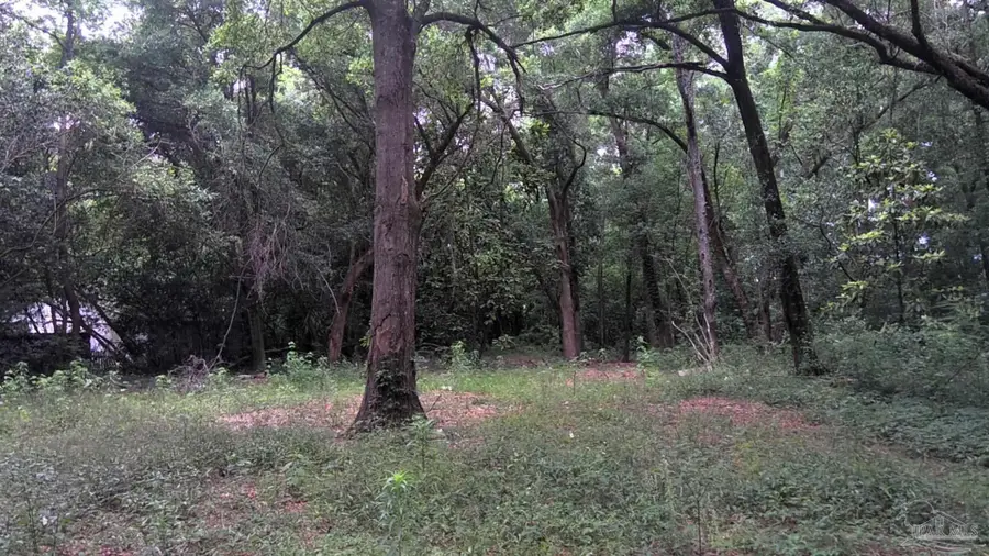 1310 Burgess Rd, Pensacola, FL 32504 - #2