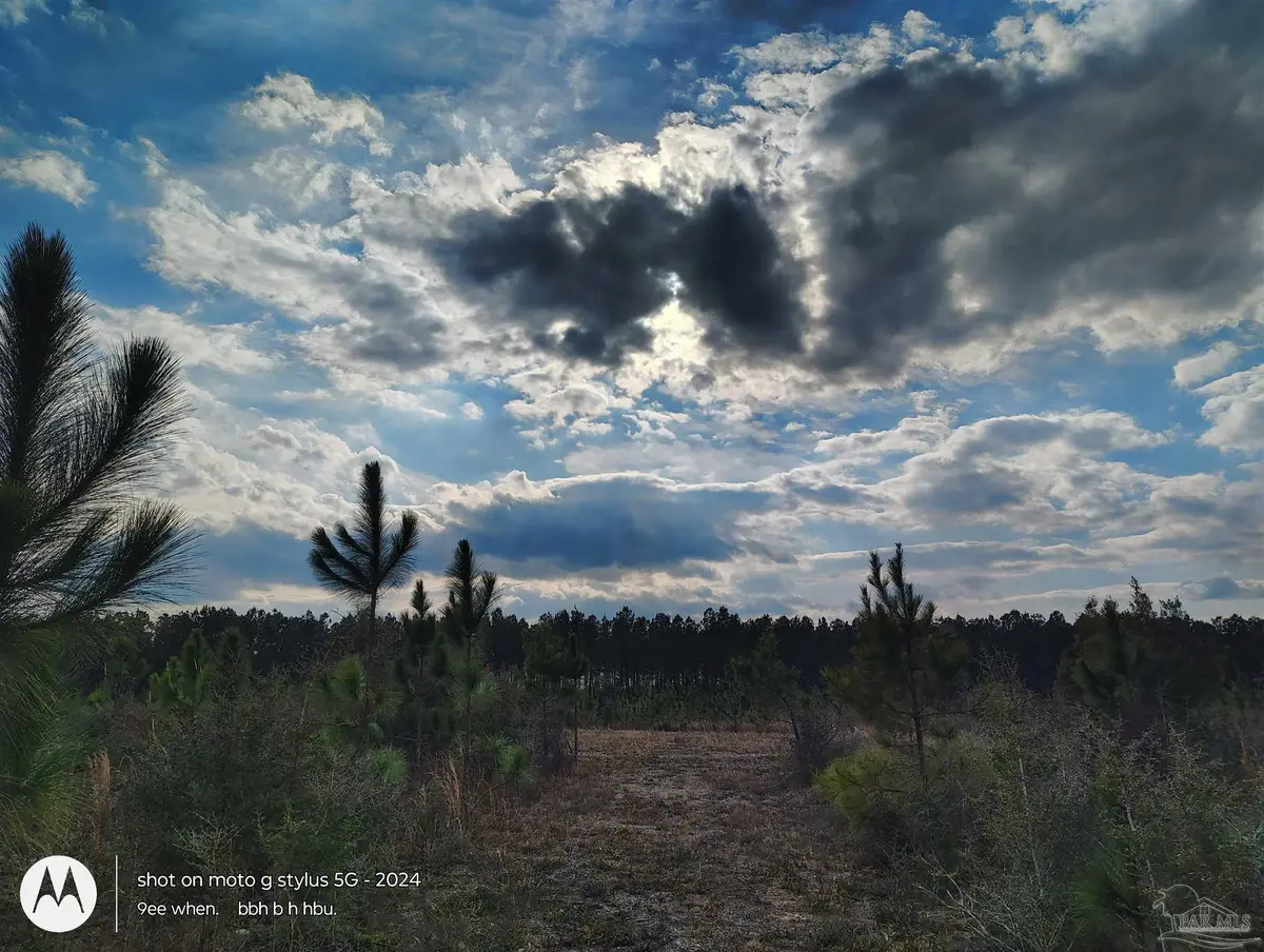 4320 Hwy 182, Jay, FL 32565 - #1