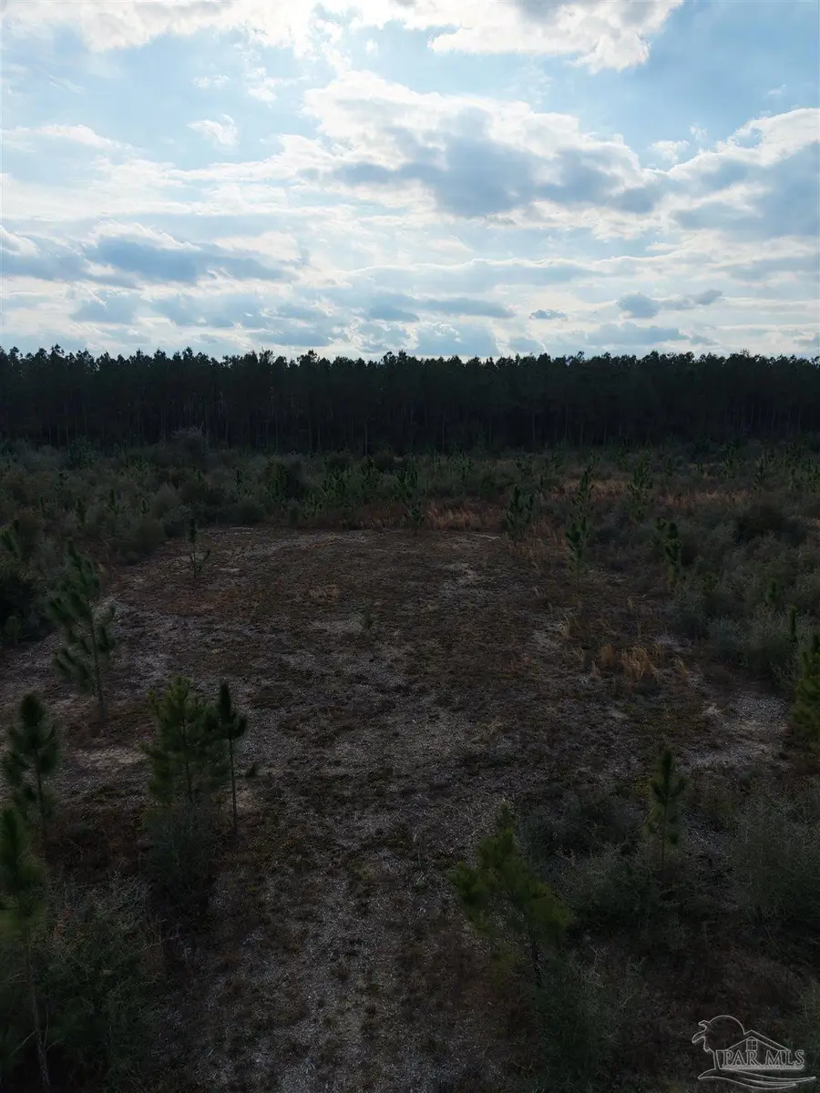4320 Hwy 182, Jay, FL 32565 - #3