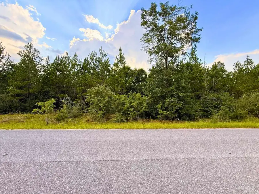 Lot 23 Buffalo Ridge Rd, Pace, FL 32571 - #3