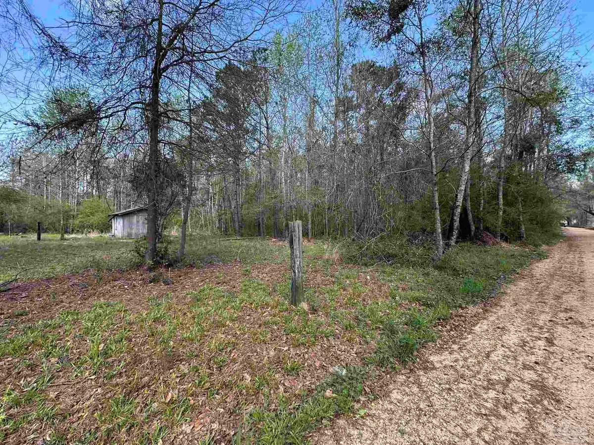 .83+/- ac Lett Rd, Frisco City, AL 36445 - #1