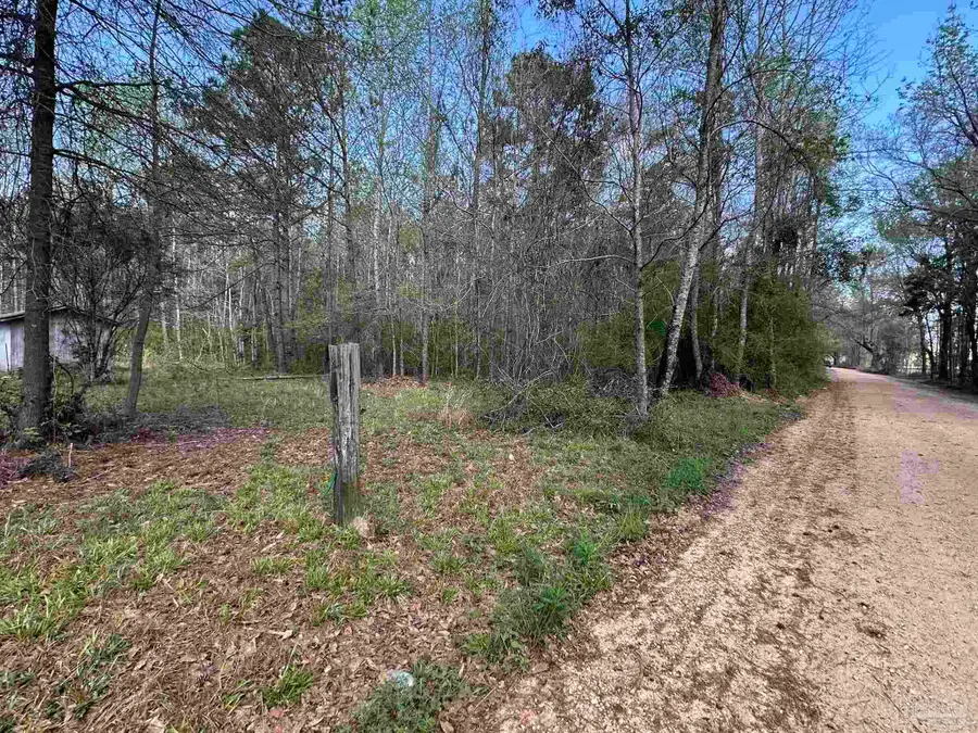 .83+/- ac Lett Rd, Frisco City, AL 36445 - #2
