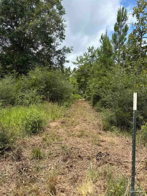 2800 BLK Velor Rd, Mcdavid, FL 32568