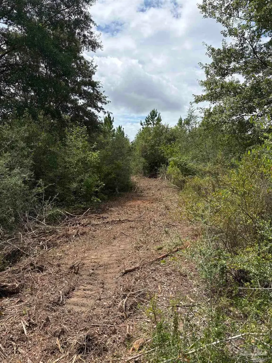 2800 BLK Velor Rd, McDavid, FL 32568 - #2