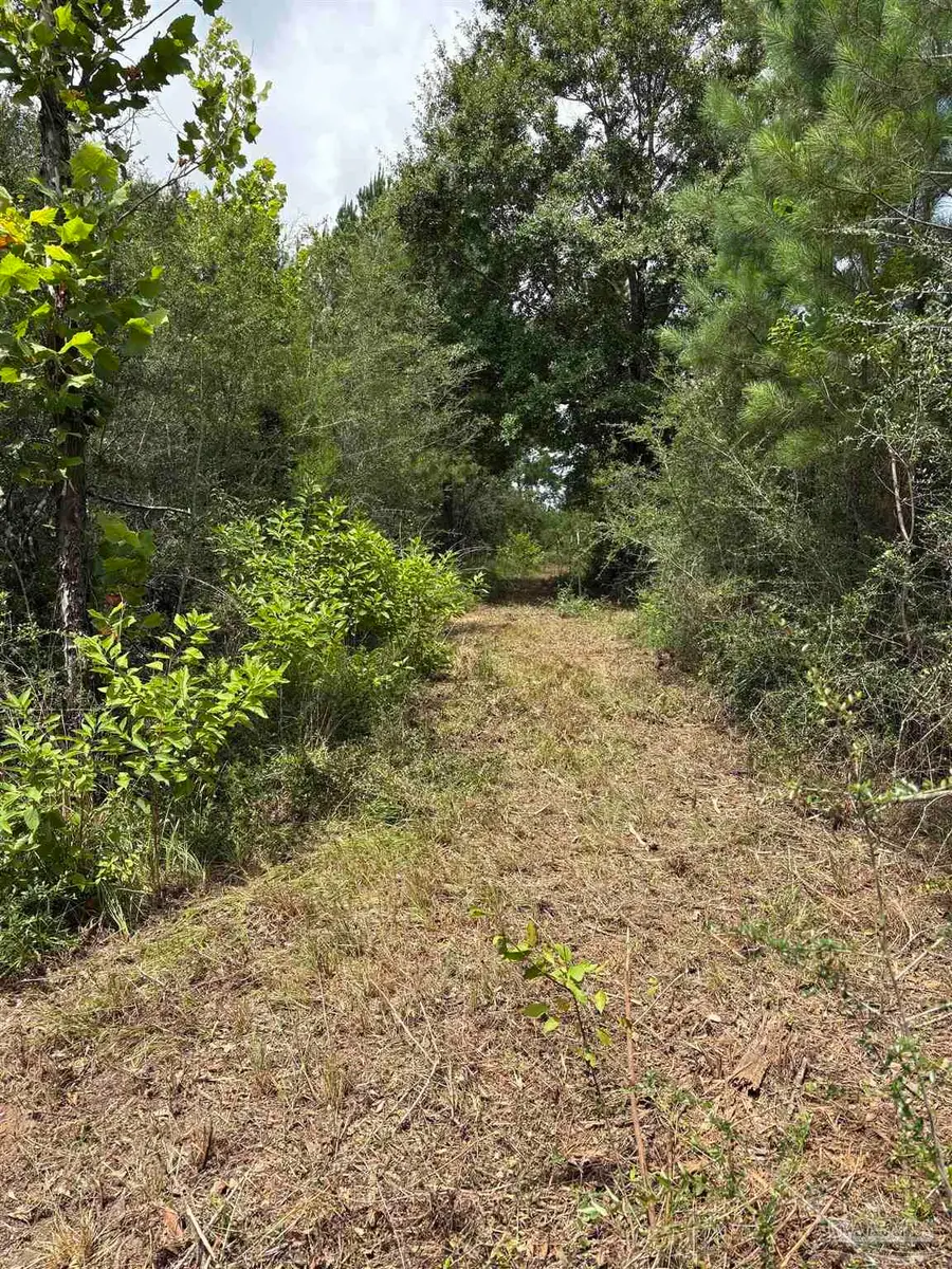 2800 BLK Velor Rd, McDavid, FL 32568 - #3