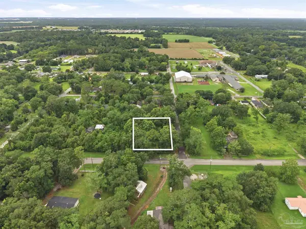 24975 Lavinia Ave, Elberta, AL 36530