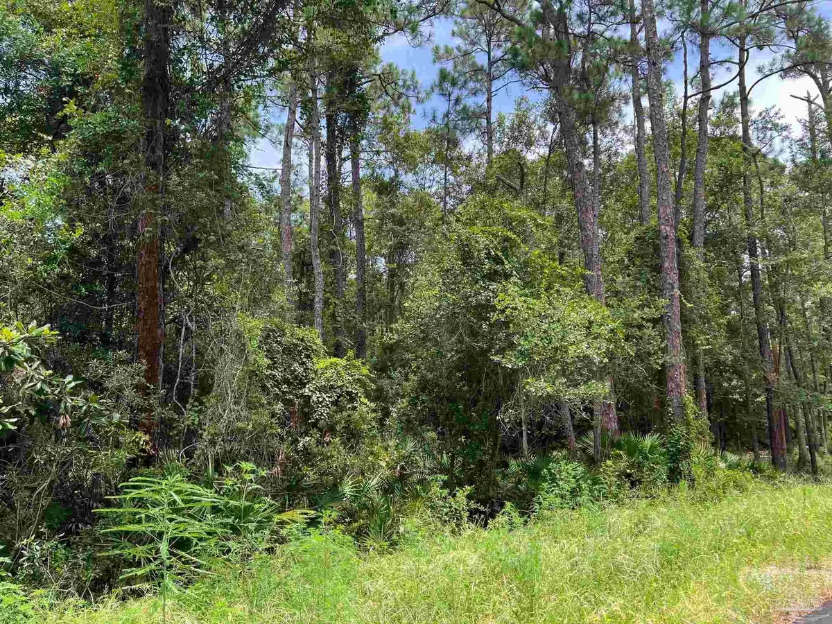 0 Galloway Ln, Gulf Shores, AL 36542 - #1