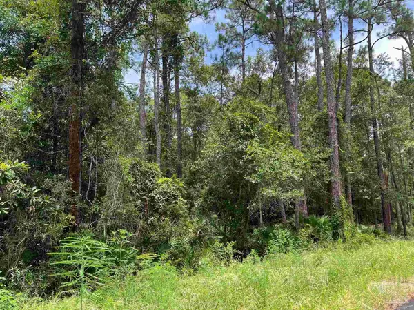 0 Galloway Ln, Gulf Shores, AL 36542