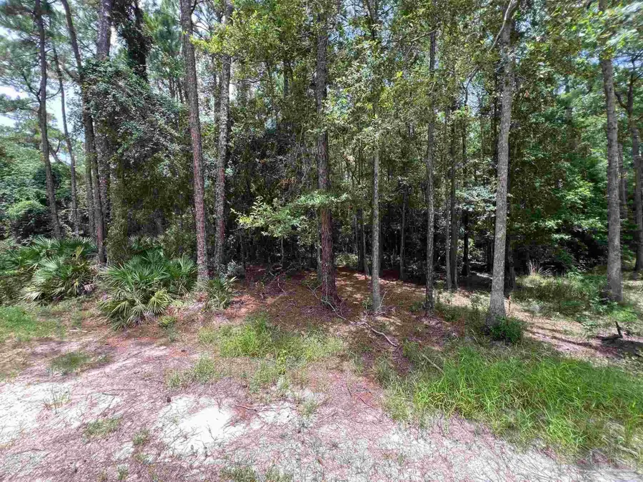 0 Galloway Ln, Gulf Shores, AL 36542 - #2