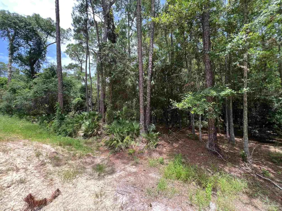 0 Galloway Ln, Gulf Shores, AL 36542 - #3
